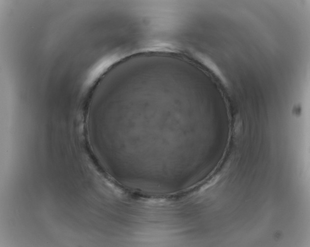 X0000091351455200709071229