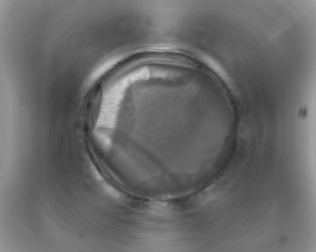 X0000091351456200709071229