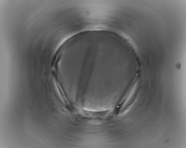 X0000091351457200709071228