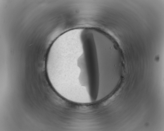 X0000091351459200709071228