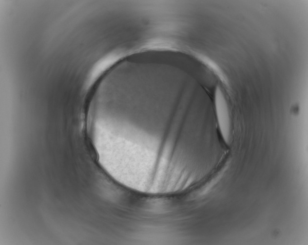 X0000091351461200709071228
