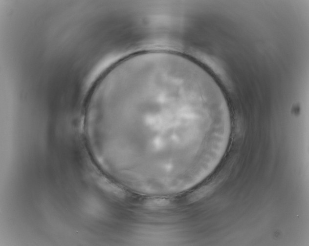 X0000091351462200709071228