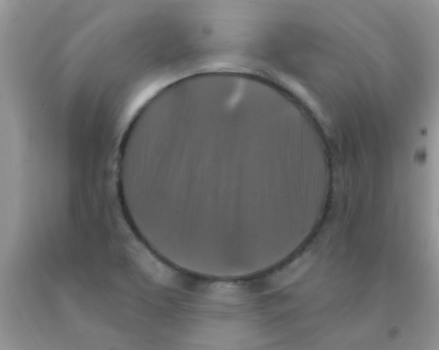 X0000091351463200709071228