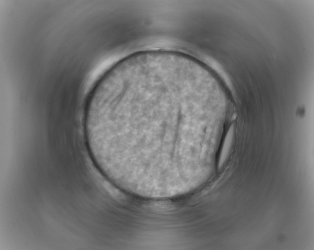 X0000091351464200709071228