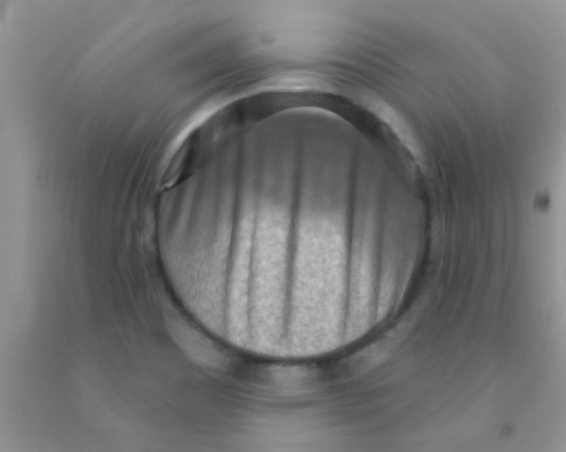 X0000091351465200709071228