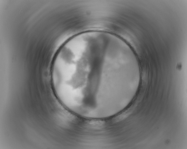 X0000091351466200709071228