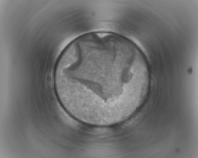 X0000091351468200709071228