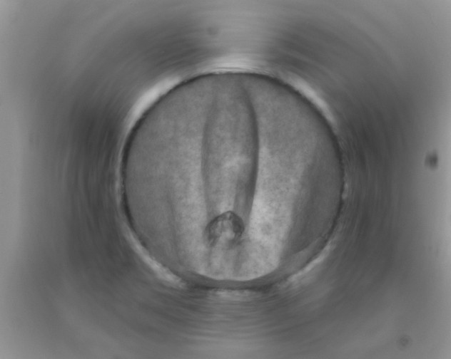 X0000091351469200709071228