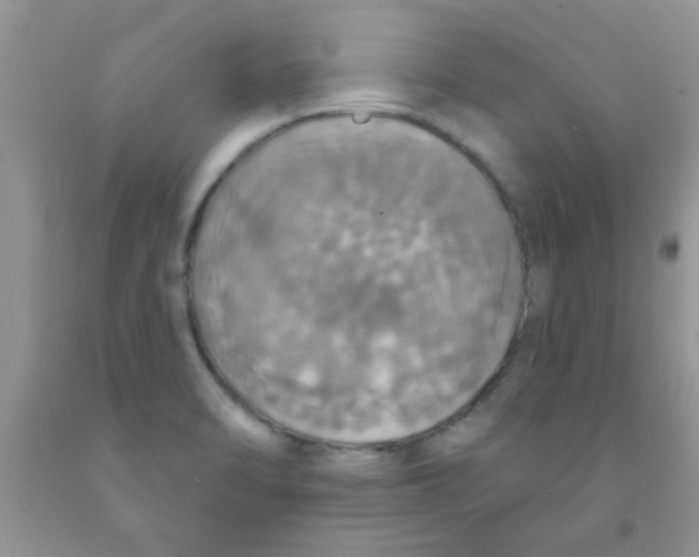 X0000091351470200709071228