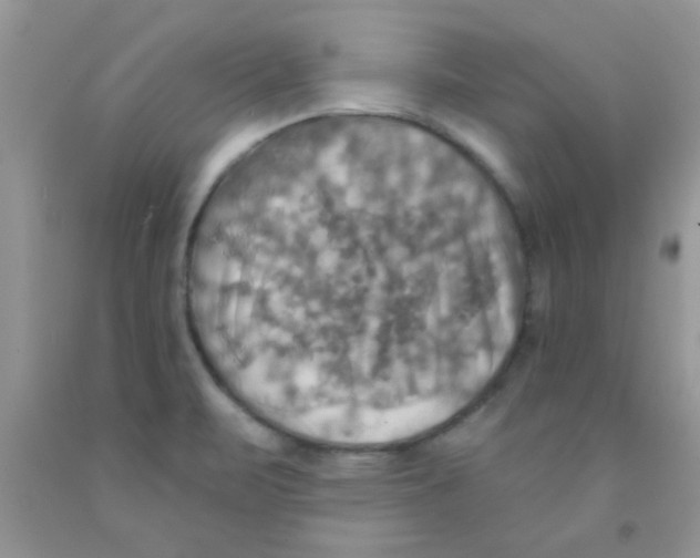 X0000091351471200709071228