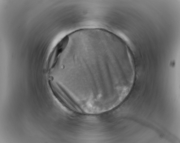 X0000091351472200709071228