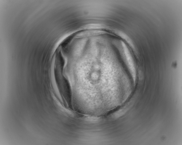 X0000091351473200709071228