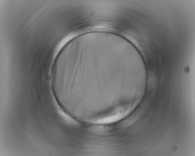 X0000091351474200709071228