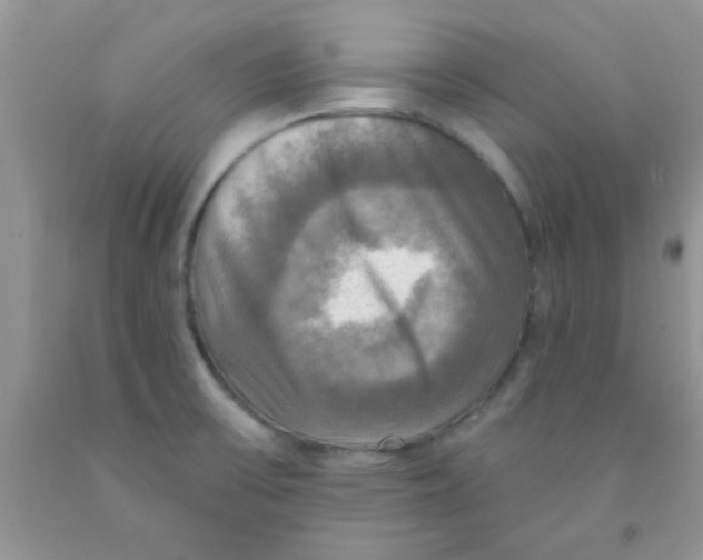 X0000091351475200709071228