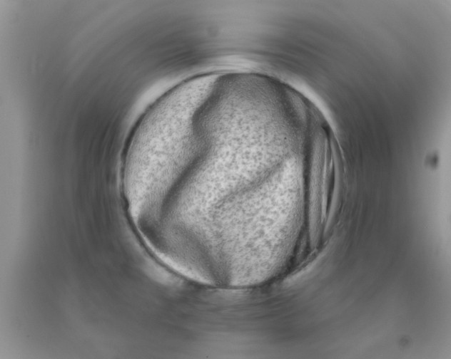 X0000091351477200709071228