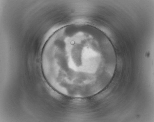 X0000091351478200709071228