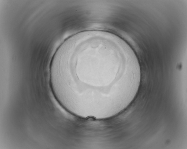 X0000091351479200709071228
