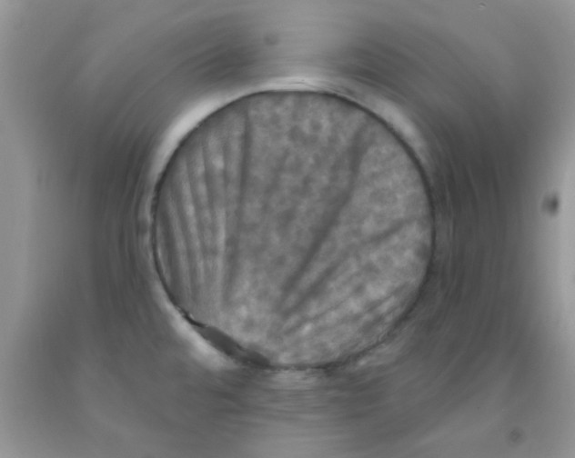 X0000091351480200709071228