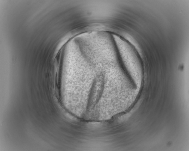 X0000091351481200709071228