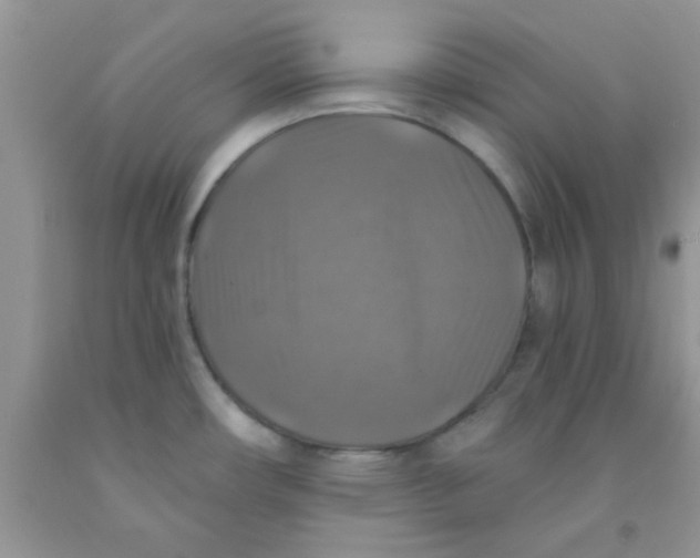 X0000091351482200709071228
