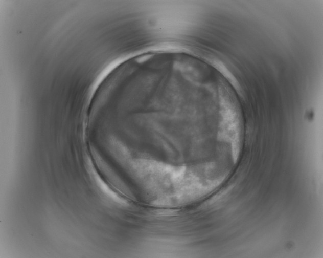 X0000091351484200709071228