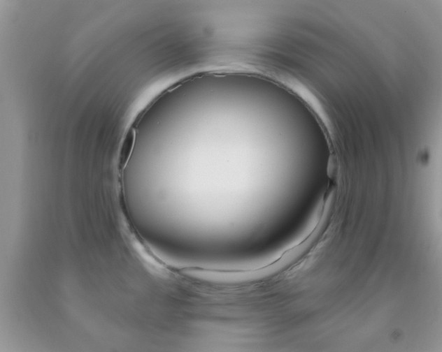 X0000091351485200709071228