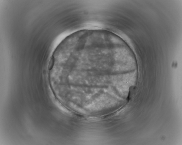 X0000091351488200709071228