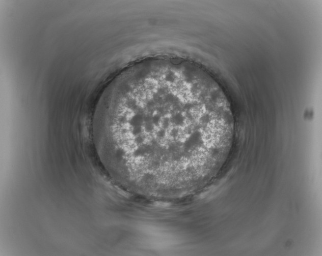 X0000091351490200709071227