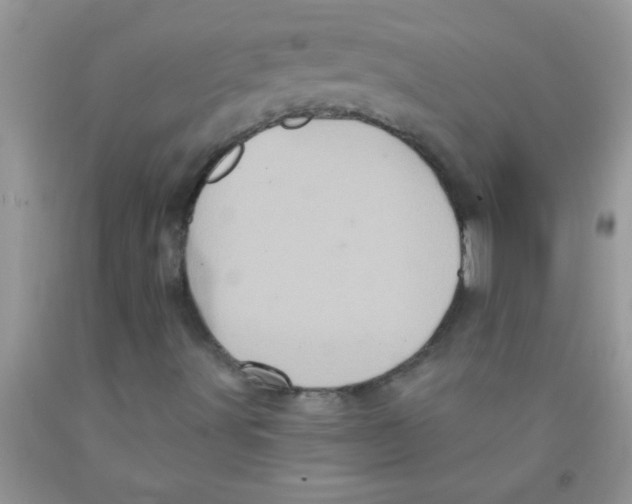 X0000091351491200709071227