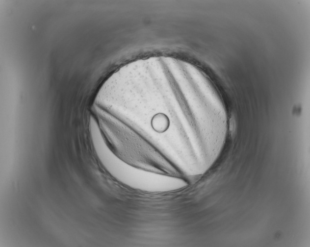 X0000091351492200709071227