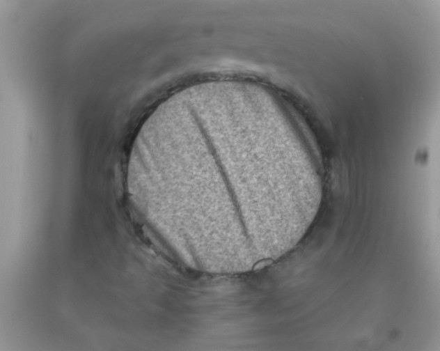 X0000091351493200709071227