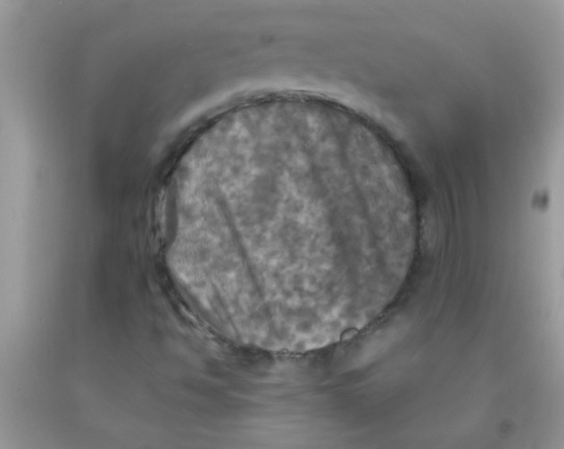 X0000091351494200709071227