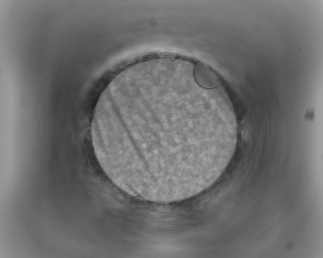 X0000091351495200709071227
