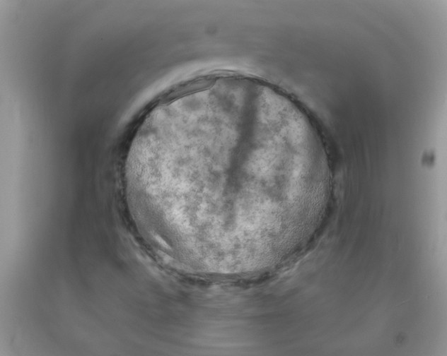 X0000091351496200709071227