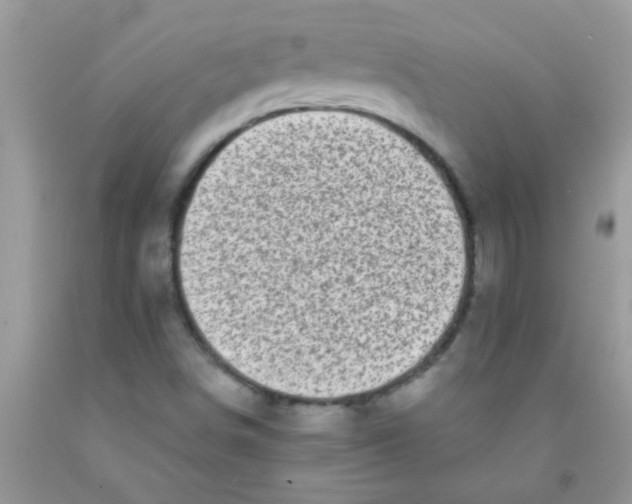 X0000091351498200709071227