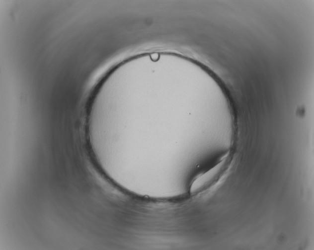 X0000091351502200709071227