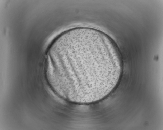 X0000091351503200709071228