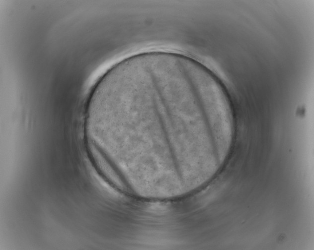 X0000091351504200709071228