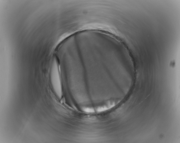 X0000091351505200709071228
