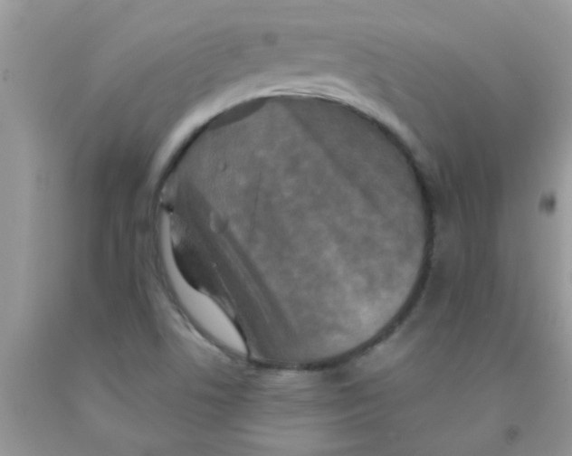 X0000091351506200709071228