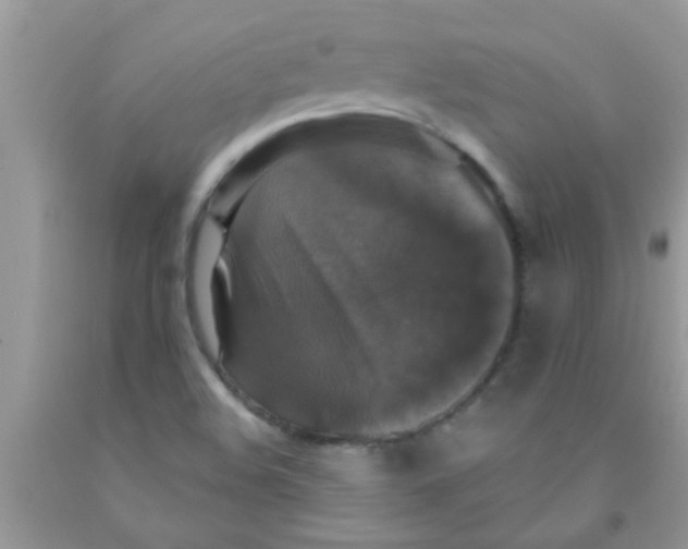 X0000091351508200709071228