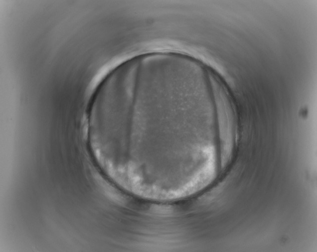 X0000091351509200709071228