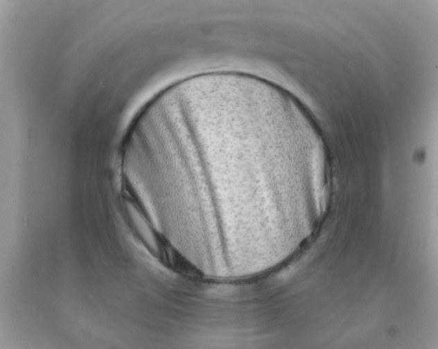 X0000091351510200709071228