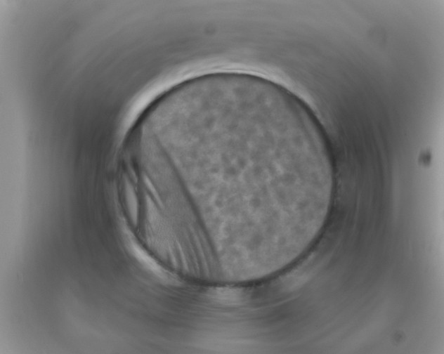 X0000091351511200709071228