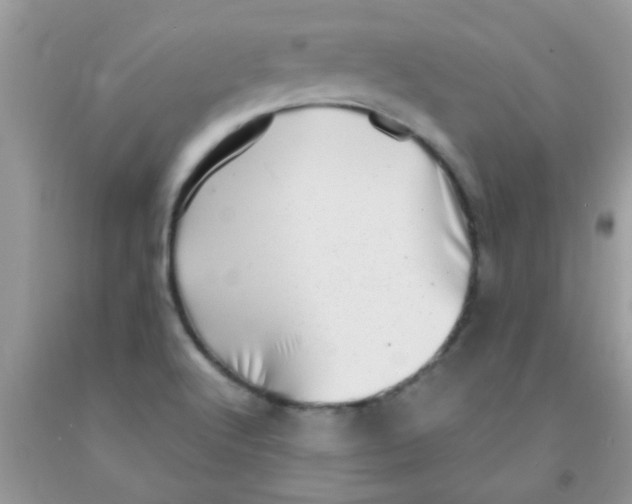 X0000091351512200709071228
