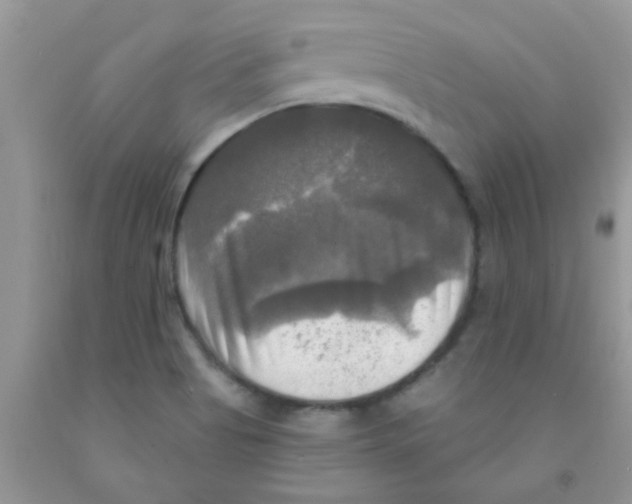 X0000091351513200709071228