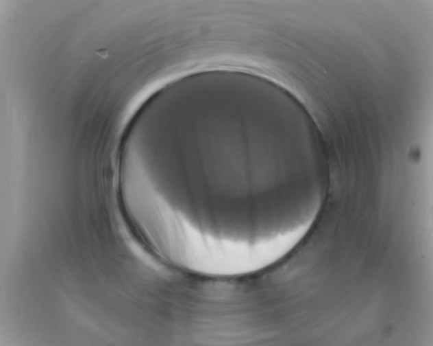 X0000091351515200709071228