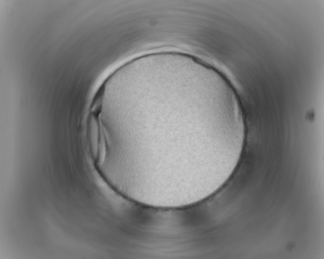 X0000091351516200709071228