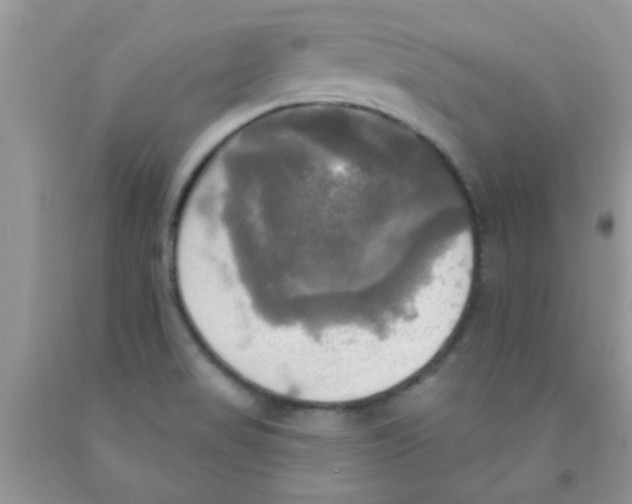 X0000091351517200709071228