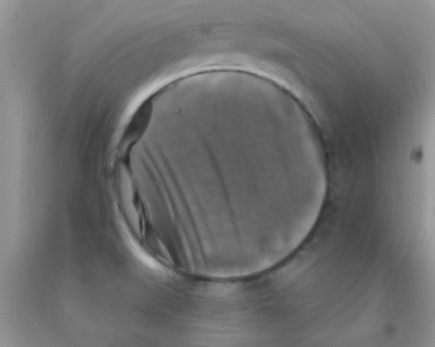 X0000091351519200709071228